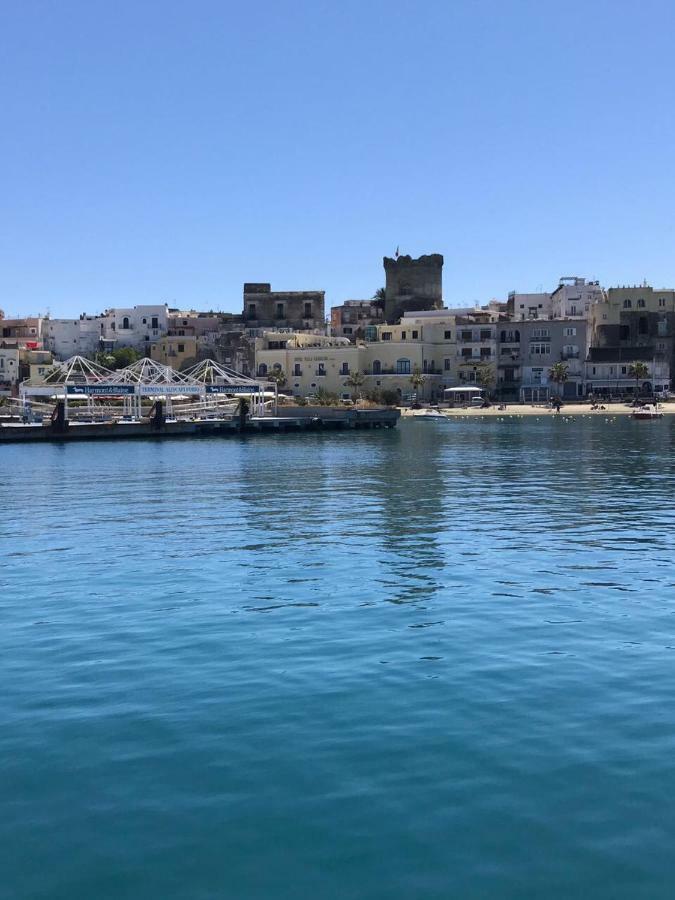 Il Vicariello Leilighet Ischia Eksteriør bilde